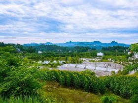 飘香柳林酒,浓厚历史情!