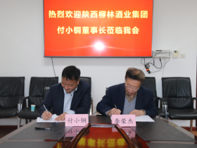 陕西柳林酒业集团在陕西省慈善协会建立留本捐息慈善基金3亿元