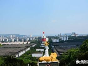 曾从钦:全力打造五位一体五粮液