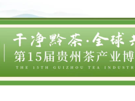 开市首日,400余商家入驻中国贵州茶叶交易中心!