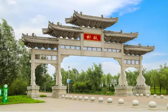 陕西柳林酒:千年古法技艺永传承,五载精工慢酿出好酒-图片4