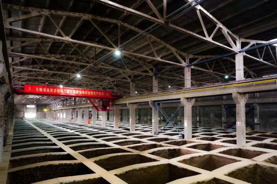 中国酿酒大师哪个酒厂最多?-图片3