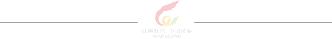问茶米仓山 | 走,采茶去!旺苍最全采茶攻略请查收~-图片10